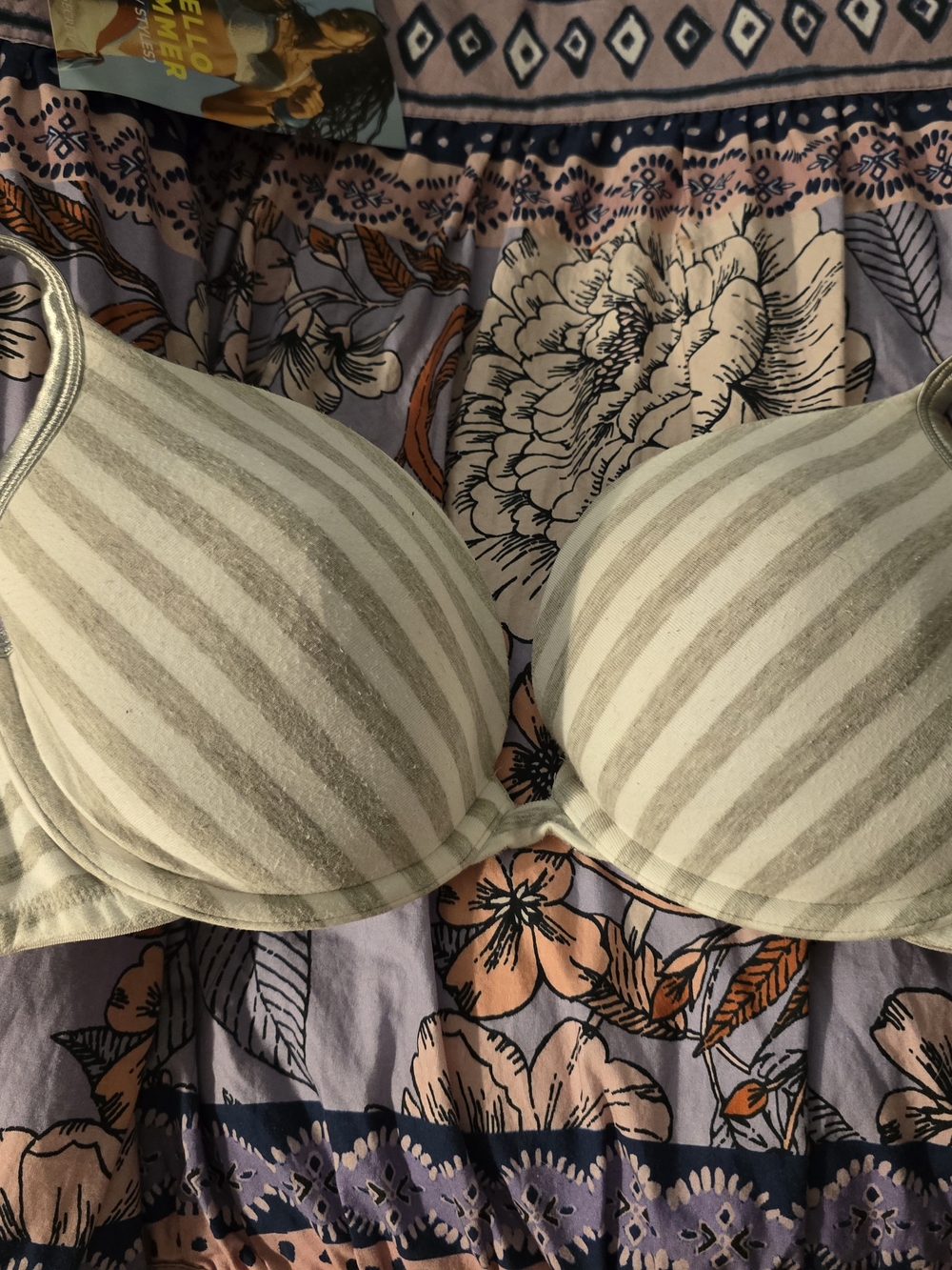 Cacique Striped Gray And Beige T-Shirt Bras (Two-fer) 42b